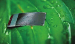 “Artificial leaf” gains ability to self-heal