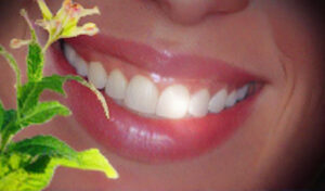 Tooth Health: A Cure for Cavities