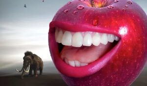 Prehistoric Plaque Shows Cavity Cause: Mouth Bacteria Diversity Loss